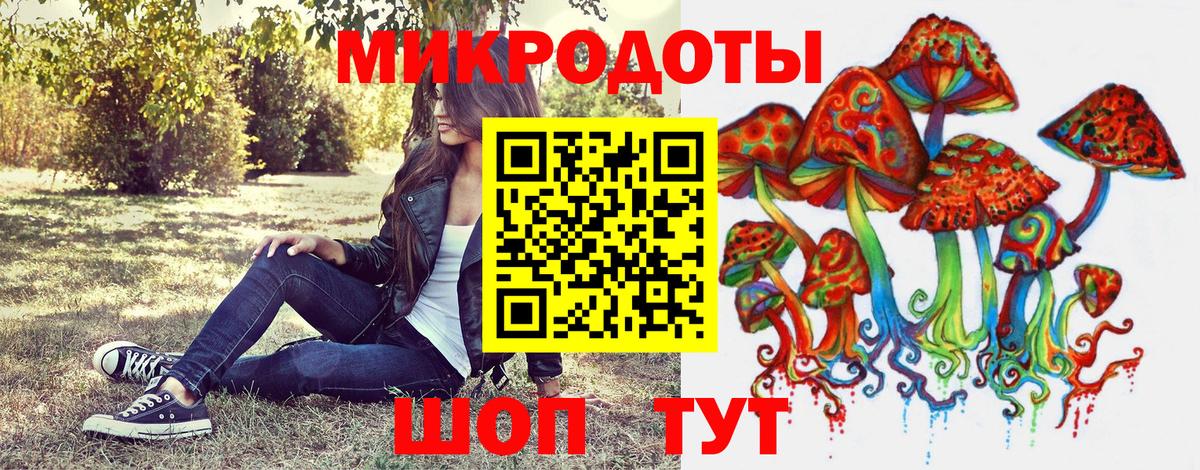 Псилоцибиновые грибы Psilocybe  купить наркоту  Красный Сулин  Вход с VPN 